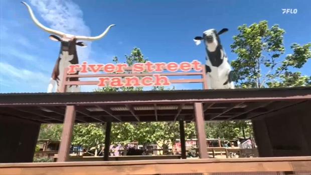 Open Girls 1600 Finals Section 7