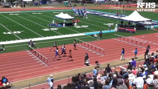 4A Boys 110 Hurdles Finals Section 1