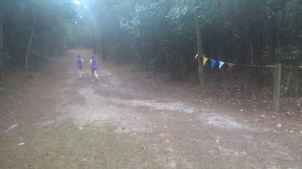 Division 1 Boys and Girls JV